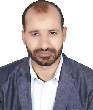 Hany Sayed Mahdy Helal